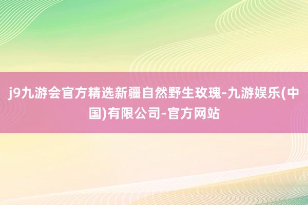 j9九游会官方精选新疆自然野生玫瑰-九游娱乐(中国)有限公司-官方网站